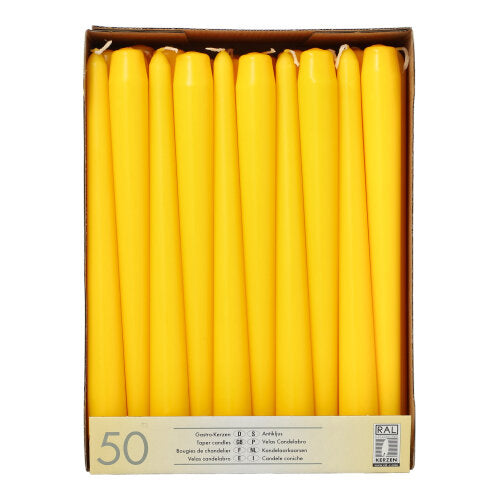 50 Leuchterkerzen Ø 2,2 cm · 25 cm gelb