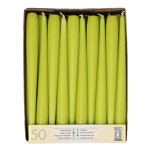 50 Leuchterkerzen Ø 2,2 cm · 25 cm limonengrün