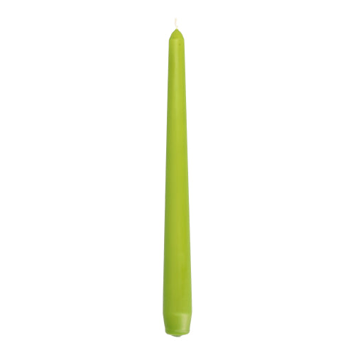 50 Leuchterkerzen Ø 2,2 cm · 25 cm olivgrün