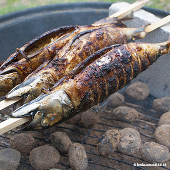 20 Grill-Spieße "pure" 80 cm x 8 mm x 8 mm "Steckerlfisch"