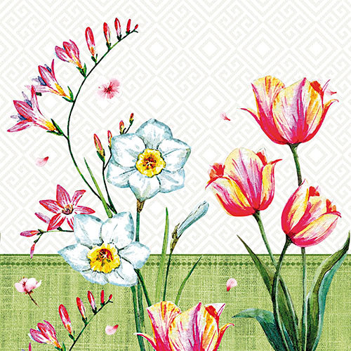 100 Servietten, 3-lagig 1/4-Falz 33 cm x 33 cm "Florentina"