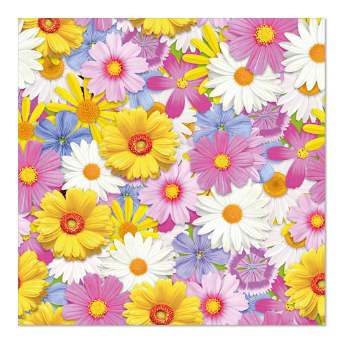 20 Servietten, 3-lagig 1/4-Falz 33 cm x 33 cm "Daisies Mix"