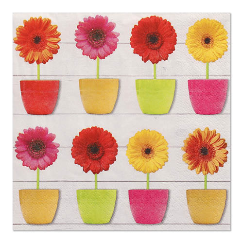 20 Servietten, 3-lagig 1/4-Falz 33 cm x 33 cm 