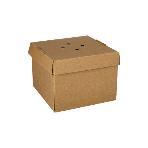 20 Burgerboxen, Pappe "pure" 10 cm x 13 cm x 13 cm braun faltbar, klein