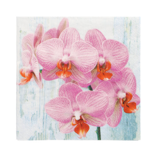 20 Servietten, 3-lagig 1/4-Falz 33 cm x 33 cm "Phalaenopsis"