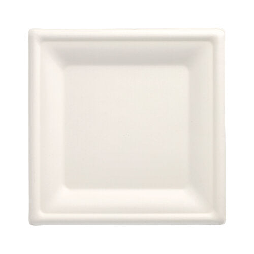 50 Teller, Zuckerrohr "pure" eckig 20 cm x 20 cm weiss