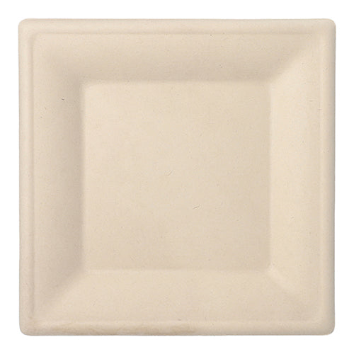 50 Teller, Zuckerrohr "pure" eckig 26 cm x 26 cm natur