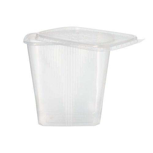 50 Verpackungsbecher mit Deckel, PP eckig 500 ml 10,1 cm x 8,9 cm x 11,4 cm transparent
