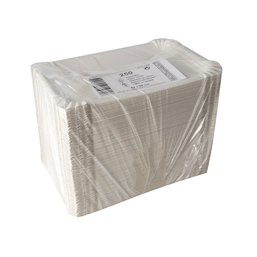 250 Teller, Pappe [rc] eckig 13 cm x 20 cm weiss