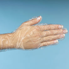 Lade das Bild in den Galerie-Viewer, 500 &quot;WORK-INN/-PS&quot; Handschuhe, PE transparent für Damen, M
